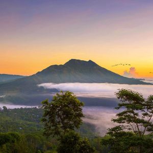 KINTAMANI
